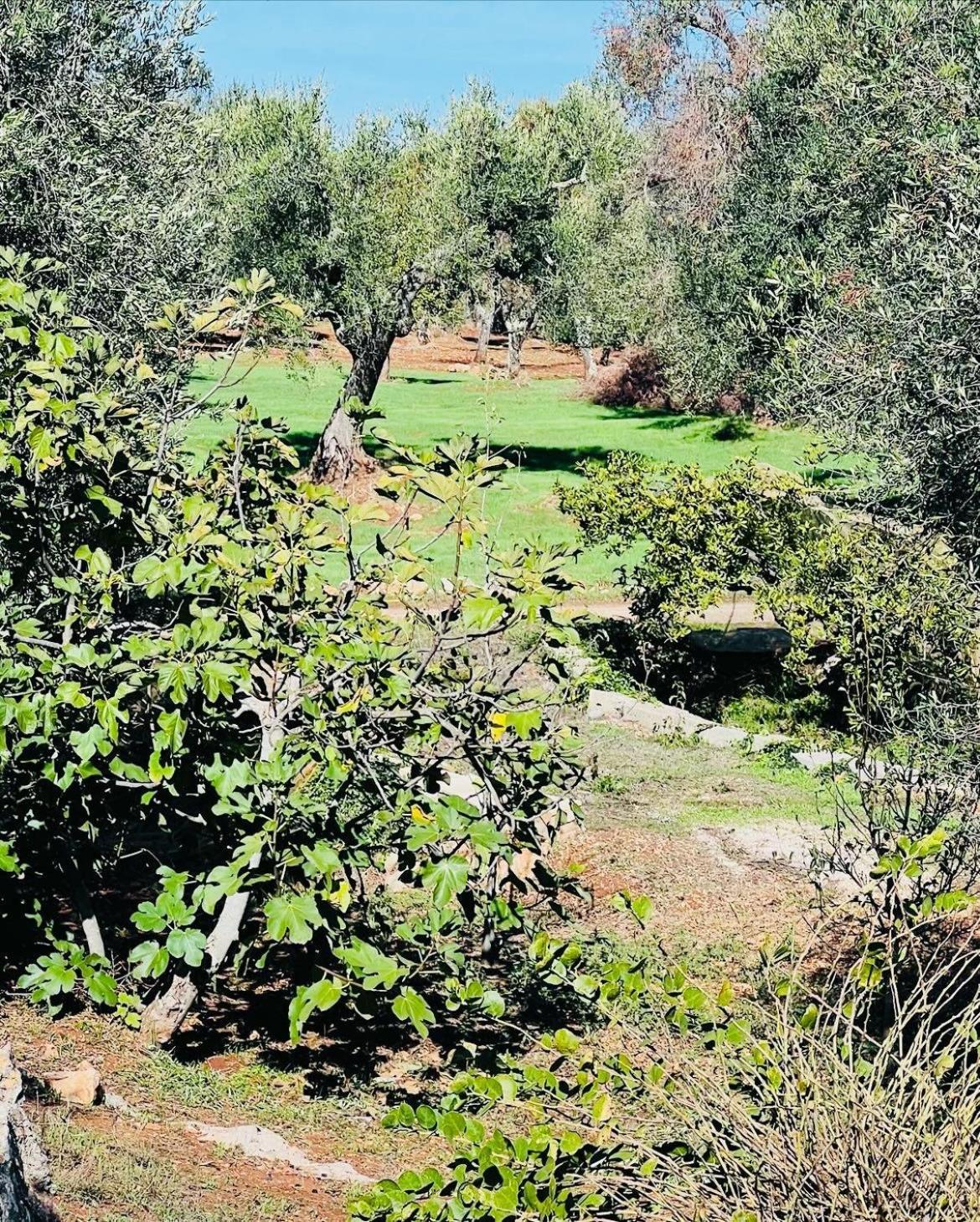 Trullo Antelmi Villa Ceglie Messapica Buitenkant foto